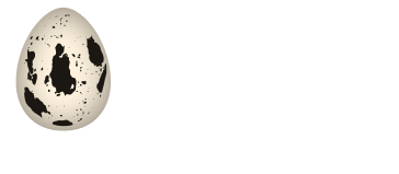 Логотип компании Qegg