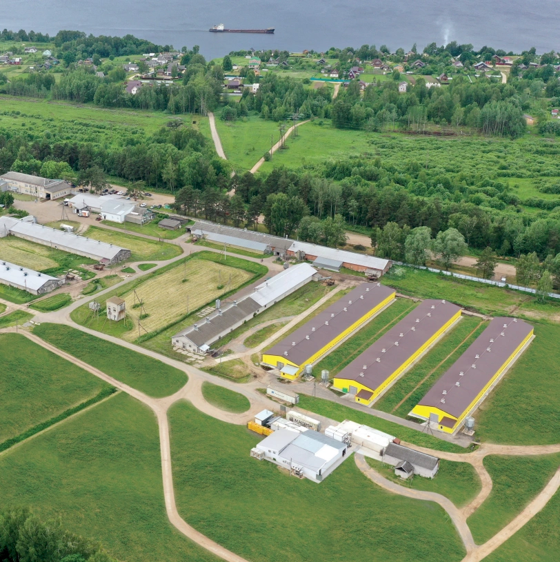 Угличская Птицефабрика – лучшая птицефабрика России 2024